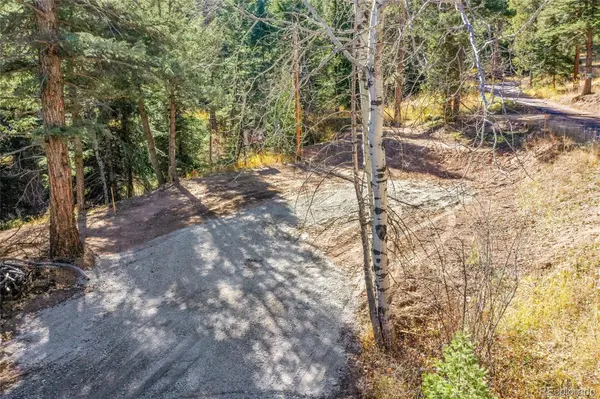 28176 Alabraska LN, Evergreen, CO 80439