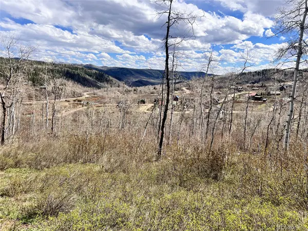 57960 Longfellow WAY, Clark, CO 80428