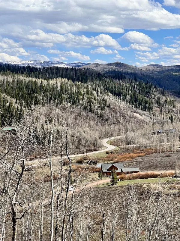 57960 Longfellow WAY, Clark, CO 80428