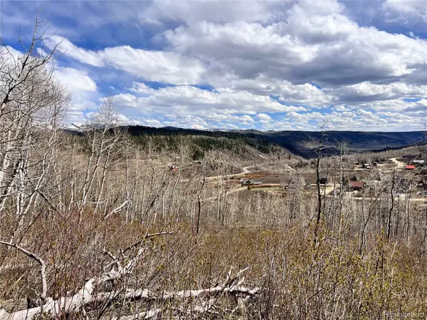 57960 Longfellow WAY, Clark, CO 80428