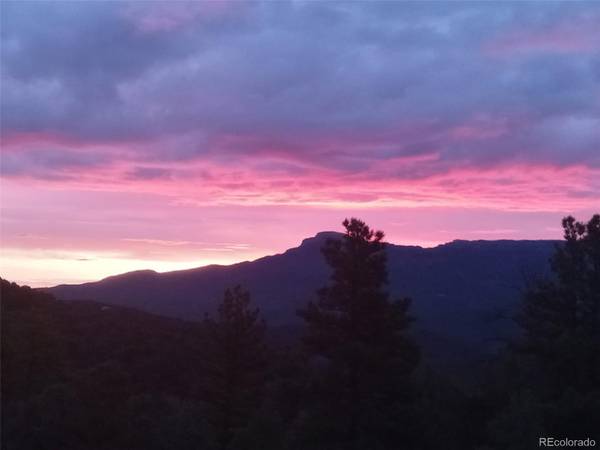 33280 Turkey Creek LN, Trinidad, CO 81082