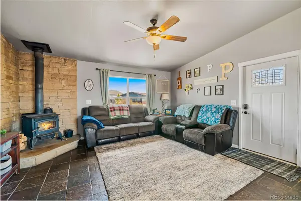 875 Trout Creek DR, Fairplay, CO 80440