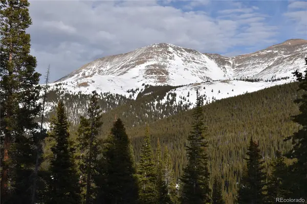 404 Carroll LN, Breckenridge, CO 80424