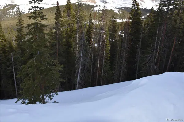 404 Carroll LN, Breckenridge, CO 80424