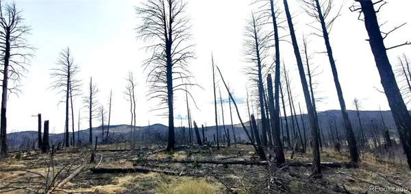 lot 1223 Emery LOOP, Fort Garland, CO 81133