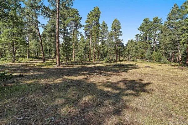 0 Evergreen DR, Conifer, CO 80433