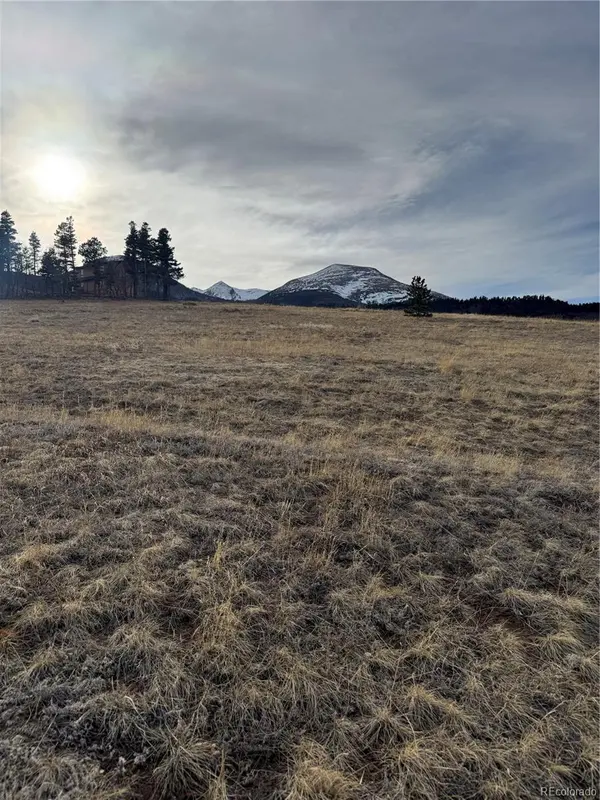 000 Louisiana Ridge, Westcliffe, CO 81252