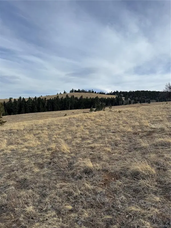 000 Louisiana Ridge, Westcliffe, CO 81252