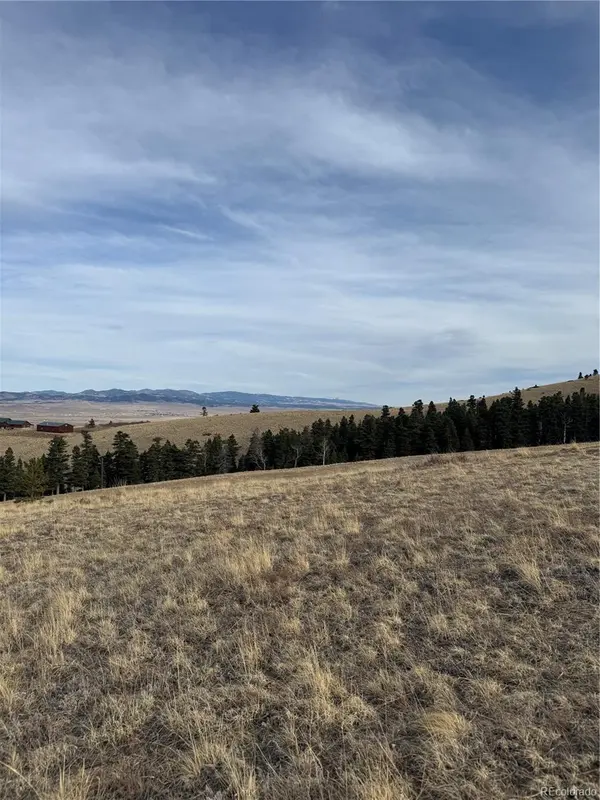 000 Louisiana Ridge, Westcliffe, CO 81252