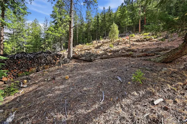 2238 Stanley RD, Idaho Springs, CO 80452