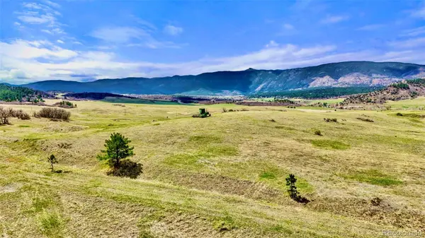 3 S Perry Park RD, Larkspur, CO 80118