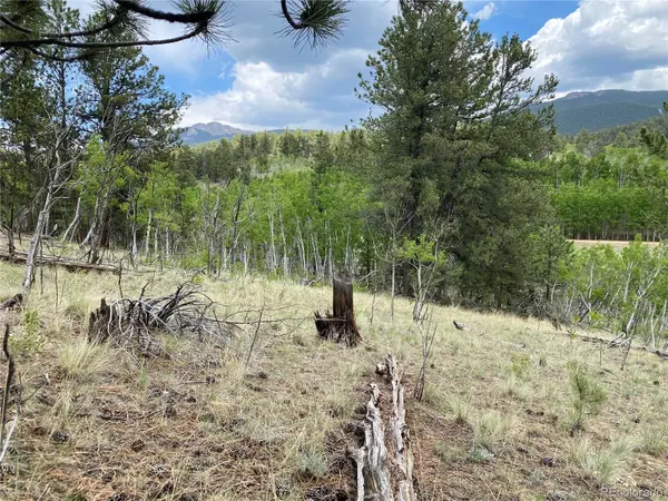 2071 Al Gulch RD, Jefferson, CO 80456