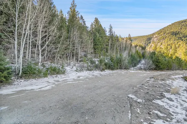 Clear Creek Rd RD, Evergreen, CO 80439