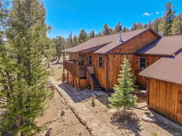 4091 Singletree RD, Hartsel, CO 80449