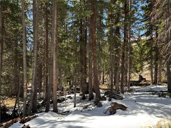 192 Kimmes LN, Breckenridge, CO 80424