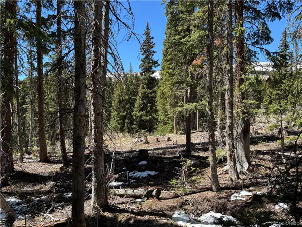 192 Kimmes LN, Breckenridge, CO 80424