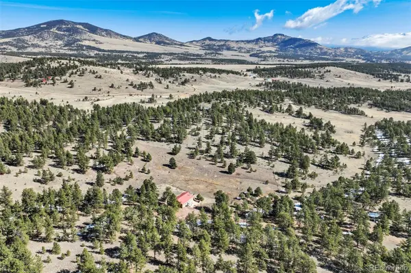 201 Terry LN, Guffey, CO 80820