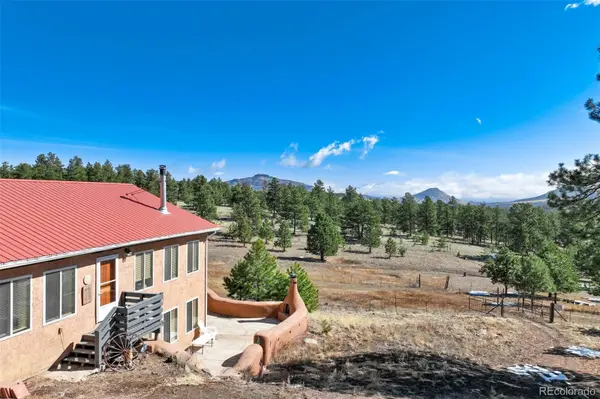 201 Terry LN, Guffey, CO 80820