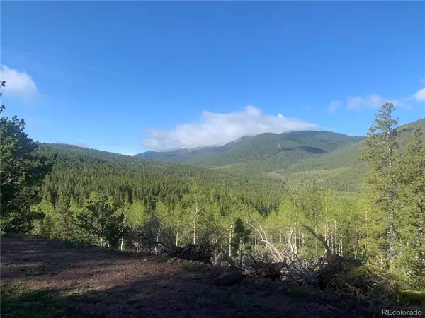3207 VAUGHN LN, Fort Garland, CO 81133