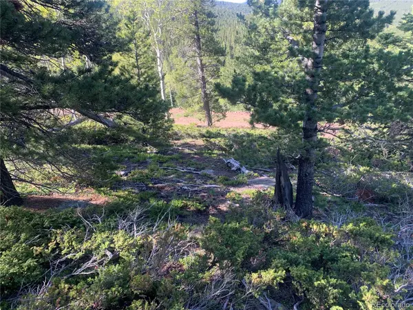 3207 VAUGHN LN, Fort Garland, CO 81133