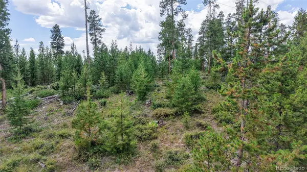 90 County Road 452, Grand Lake, CO 80447