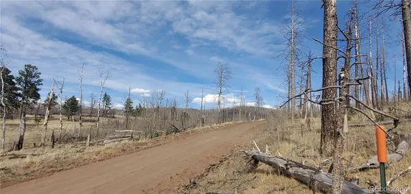 Lot 1224 Emery LOOP, Fort Garland, CO 81133
