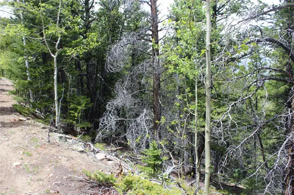 16564A Pennsylvania, Idaho Springs, CO 80461