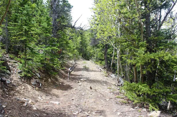 16564A Pennsylvania, Idaho Springs, CO 80461