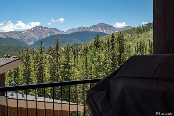 387 Bear TRL, Winter Park, CO 80482