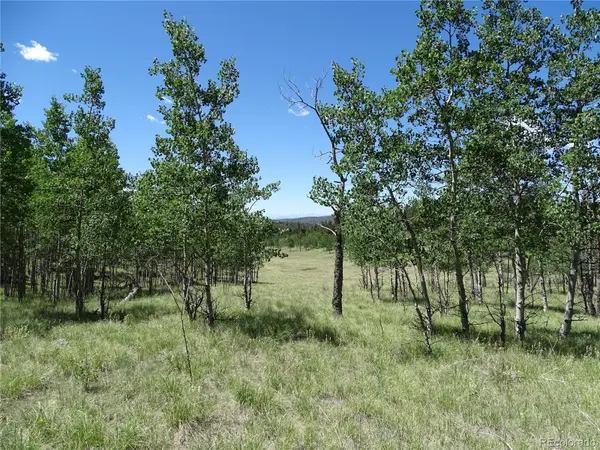 782 Bowstring RD, Como, CO 80432