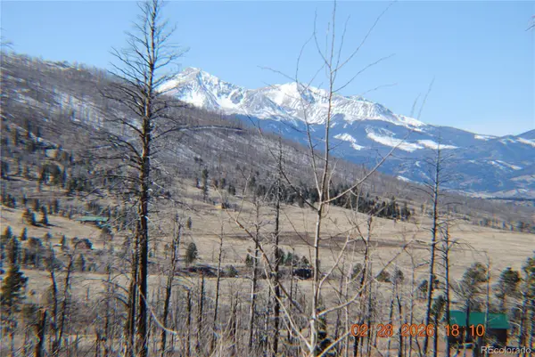 1043 saul PL, Fort Garland, CO 81133