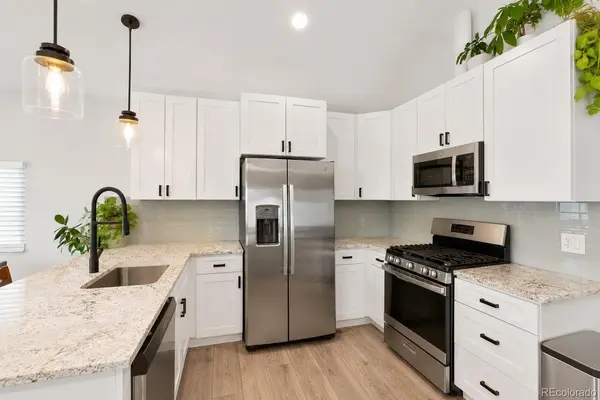 243 S Osceola ST, Denver, CO 80219