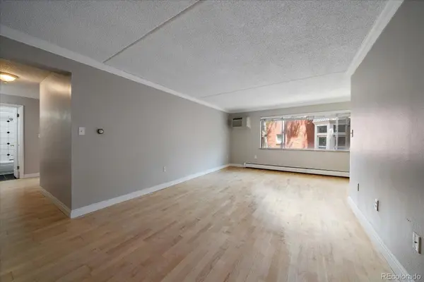 1267 N Lafayette ST #303, Denver, CO 80218