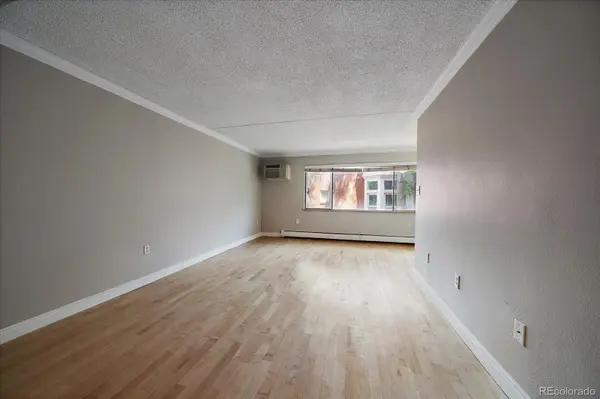 1267 N Lafayette ST #303, Denver, CO 80218