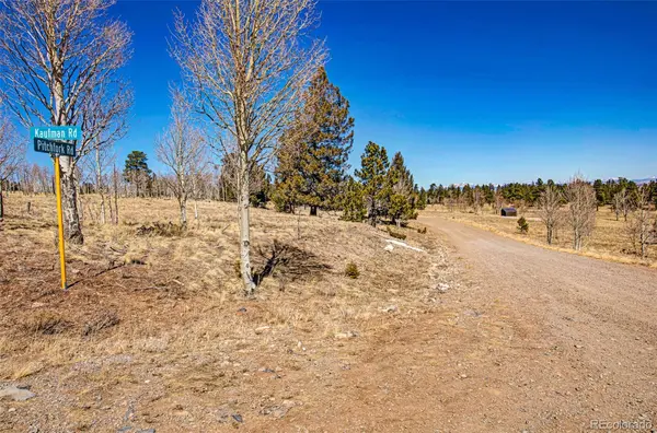 2226 Pitchfork RD, Hartsel, CO 80449
