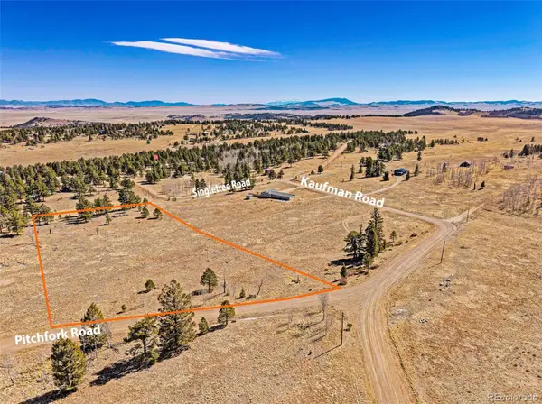 2226 Pitchfork RD, Hartsel, CO 80449
