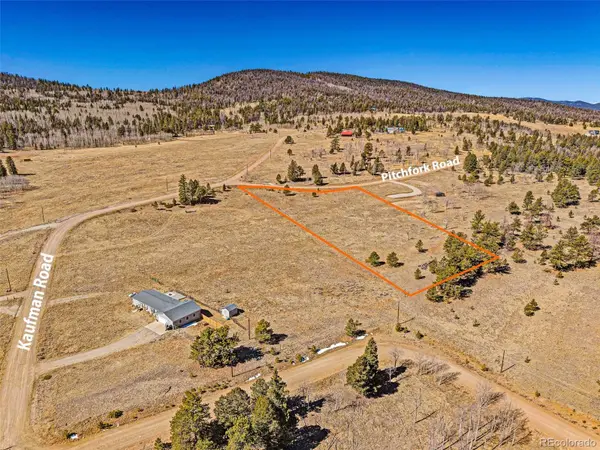 2226 Pitchfork RD, Hartsel, CO 80449