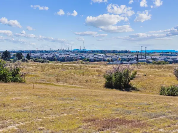 1725 N Rocky View RD, Castle Rock, CO 80108