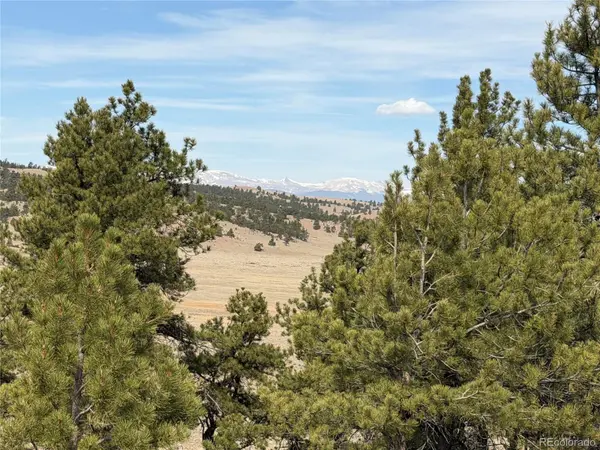 990 Coyotero TRL, Hartsel, CO 80449