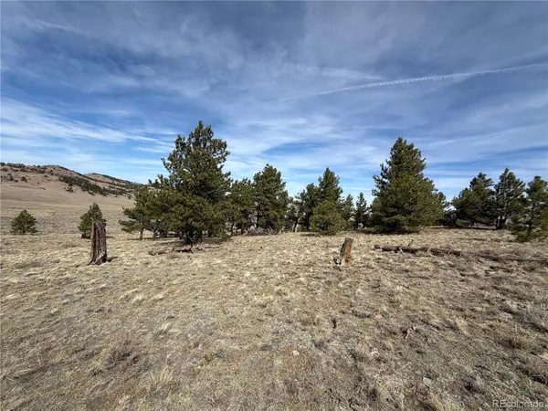 990 Coyotero TRL, Hartsel, CO 80449