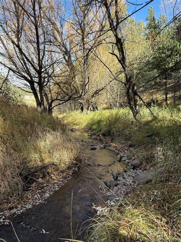 7438 S Turkey Creek RD, Morrison, CO 80465