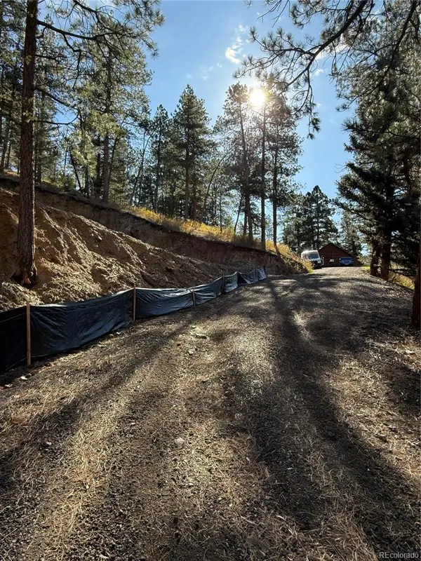 7438 S Turkey Creek RD, Morrison, CO 80465