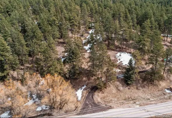 7438 S Turkey Creek RD, Morrison, CO 80465