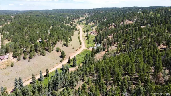 1570 Pathfinder RD, Florissant, CO 80816