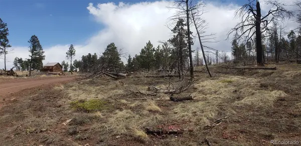 Lot 179 Duffy LN, Fort Garland, CO 81133