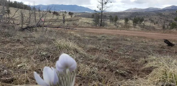 Lot 179 Duffy LN, Fort Garland, CO 81133