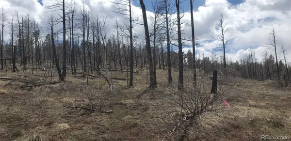 Lot 179 Duffy LN, Fort Garland, CO 81133