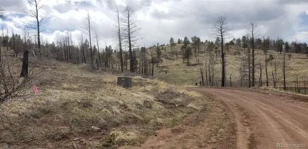 Lot 179 Duffy LN, Fort Garland, CO 81133