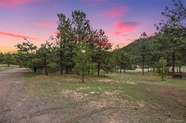 6068 S Skyline DR, Evergreen, CO 80439