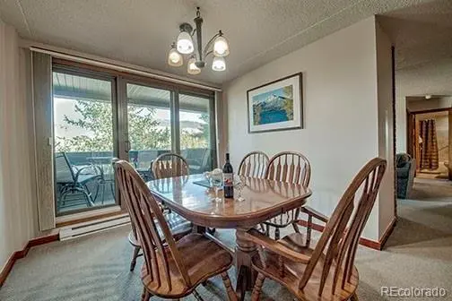 317 W La Bonte ST #107, Dillon, CO 80435